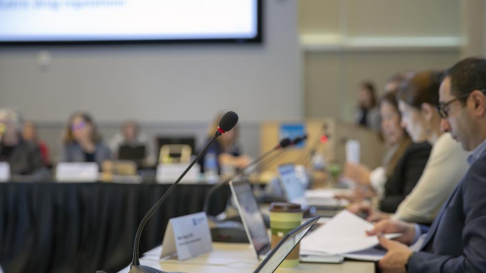 Stakeholder advisory group(s)