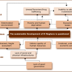 Causes of governance problems