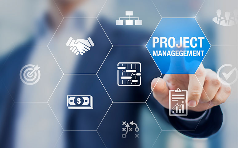 Project governance processes