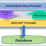 Client entity