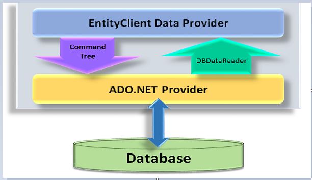 Client entity