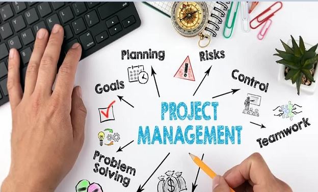 Who are Project Managers?