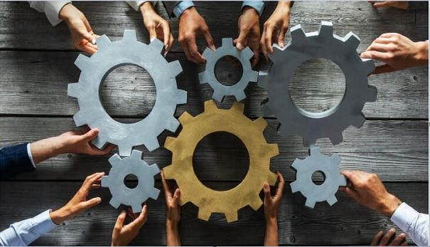 Stakeholder vs. Shareholder: How They’re Different & Why It Matters